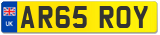 AR65 ROY