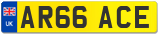 AR66 ACE
