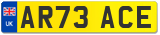 AR73 ACE