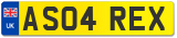 AS04 REX