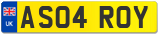 AS04 ROY