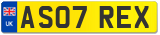 AS07 REX