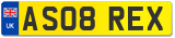 AS08 REX