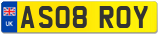 AS08 ROY