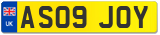 AS09 JOY