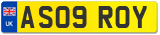 AS09 ROY