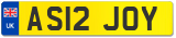 AS12 JOY