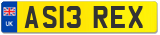 AS13 REX