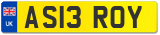 AS13 ROY