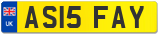 AS15 FAY