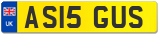 AS15 GUS