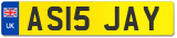 AS15 JAY