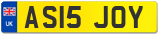 AS15 JOY