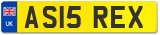 AS15 REX