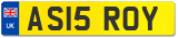 AS15 ROY