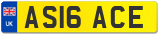 AS16 ACE