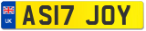 AS17 JOY