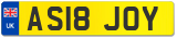 AS18 JOY