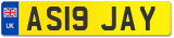 AS19 JAY