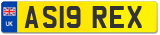 AS19 REX