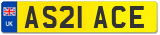 AS21 ACE