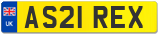 AS21 REX