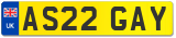 AS22 GAY