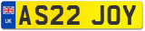 AS22 JOY