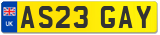 AS23 GAY