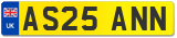 AS25 ANN