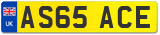 AS65 ACE