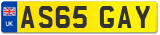 AS65 GAY