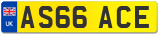 AS66 ACE