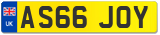 AS66 JOY