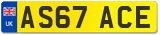 AS67 ACE