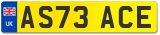 AS73 ACE