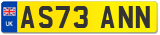 AS73 ANN