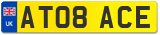 AT08 ACE