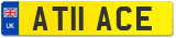 AT11 ACE