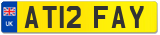 AT12 FAY