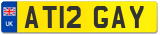 AT12 GAY