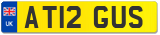 AT12 GUS