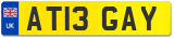 AT13 GAY
