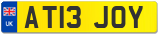 AT13 JOY