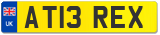 AT13 REX