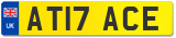 AT17 ACE