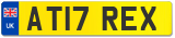 AT17 REX