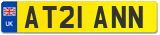 AT21 ANN