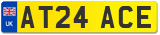 AT24 ACE