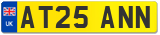 AT25 ANN